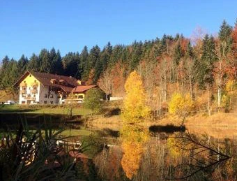 L’Étang du Moulin